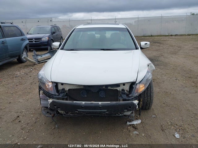 Продаж на аукціоні авто 2009 Honda Accord Ex-l V6, vin: 1HGCP36829A800783, номер лоту: 12317382