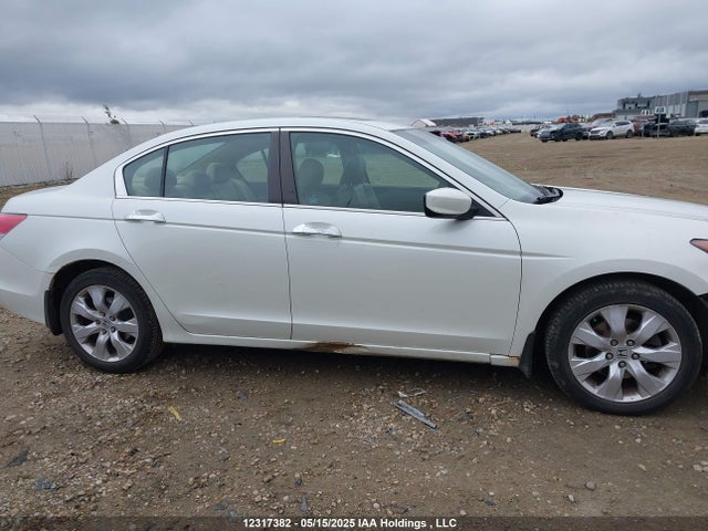 Продаж на аукціоні авто 2009 Honda Accord Ex-l V6, vin: 1HGCP36829A800783, номер лоту: 12317382