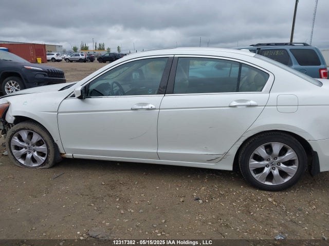 Продаж на аукціоні авто 2009 Honda Accord Ex-l V6, vin: 1HGCP36829A800783, номер лоту: 12317382