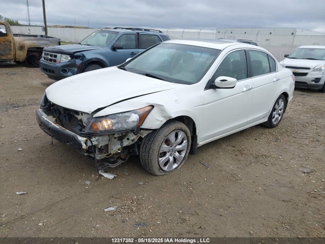 Продаж на аукціоні авто 2009 Honda Accord Ex-l V6, vin: 1HGCP36829A800783, номер лоту: 12317382