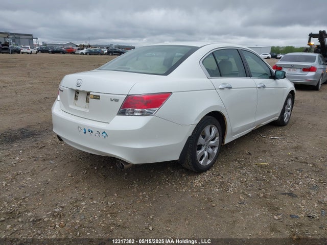Продаж на аукціоні авто 2009 Honda Accord Ex-l V6, vin: 1HGCP36829A800783, номер лоту: 12317382