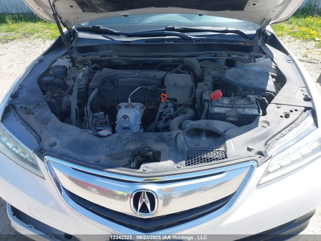 19UUB1F53FA800932 Acura k24w7