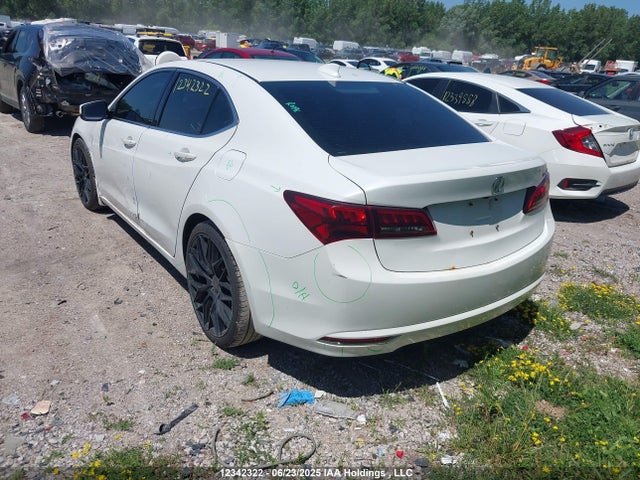 19UUB1F53FA800932 Acura k24w7