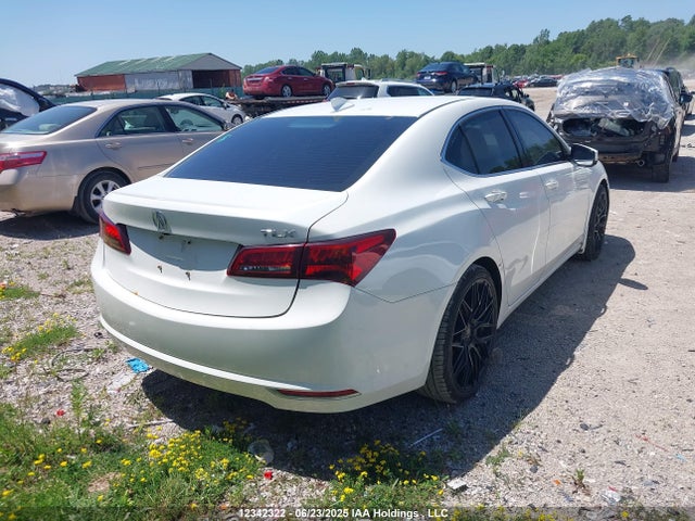 19UUB1F53FA800932 Acura k24w7