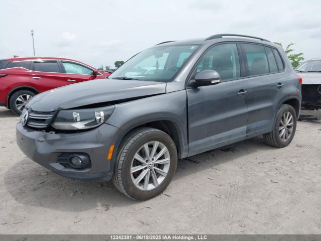 WVGJV3AX8EW514763 Volkswagen 2014