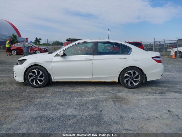 1HGCR2E31GA800863 Honda k24w1