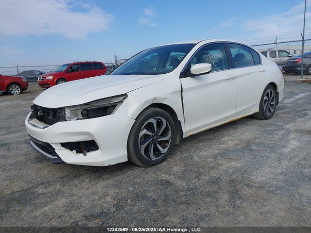 1HGCR2E31GA800863 Honda k24w1