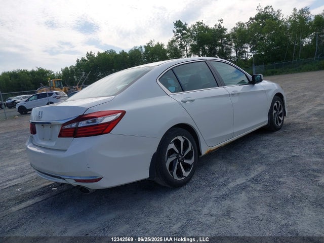 1HGCR2E31GA800863 Honda k24w1