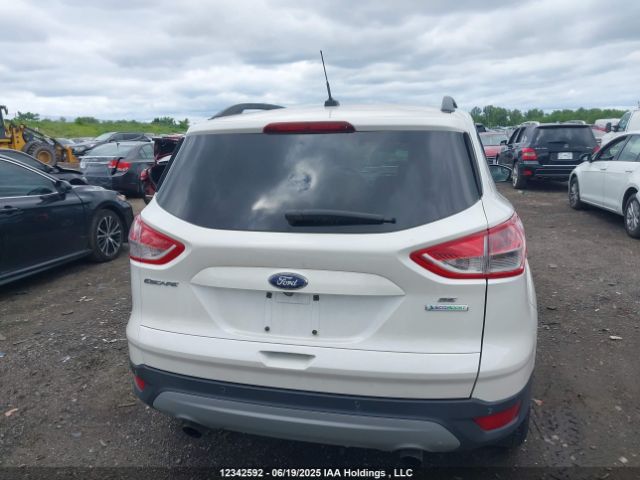 1FMCU0GX6EUD67839 Ford Escape