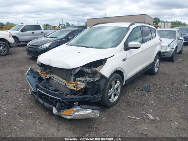 1FMCU0GX6EUD67839 Ford Escape