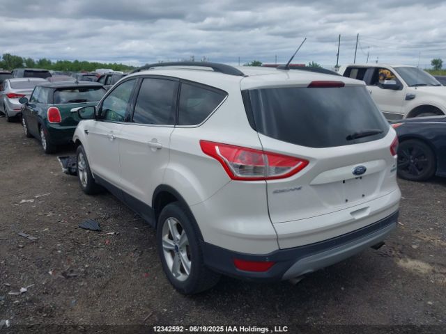 1FMCU0GX6EUD67839 Ford Escape