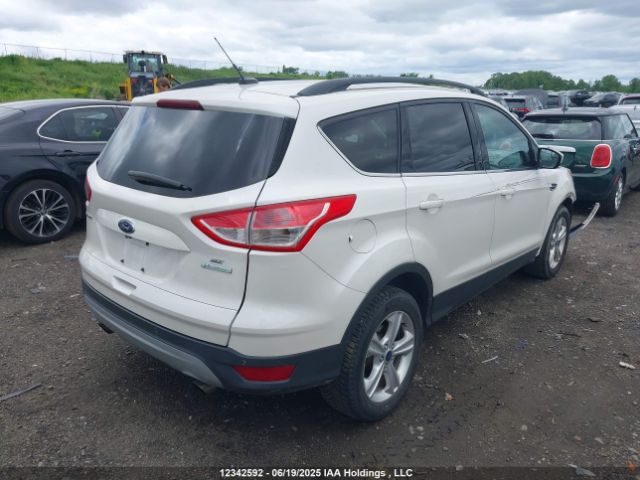 1FMCU0GX6EUD67839 Ford Escape