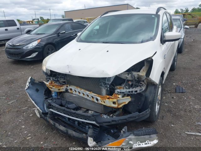 1FMCU0GX6EUD67839 Ford Escape