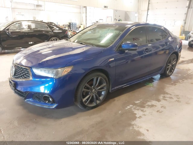 19UUB1F61KA800804 Acura k24w7