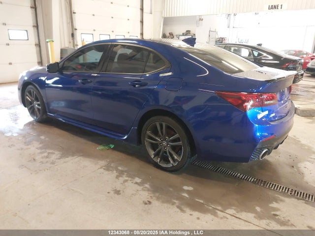 19UUB1F61KA800804 Acura k24w7