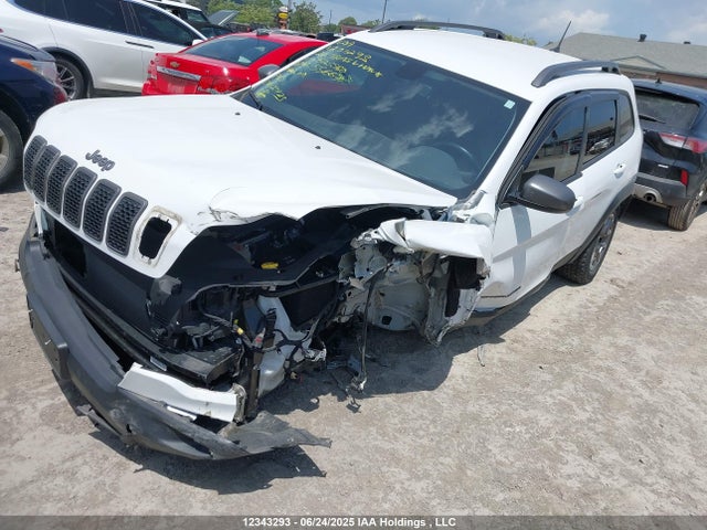 1C4PJMBXXLD625550 Jeep Cherokee