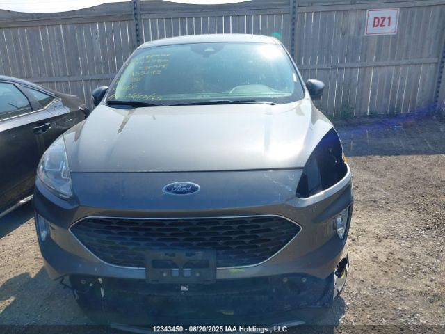 1FMCU9H61NUA55292 Ford dragon di tc