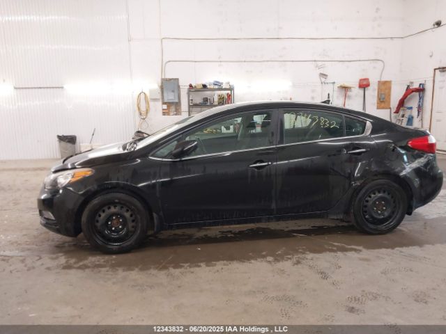 KNAFX4A89E5241063 KIA Forte