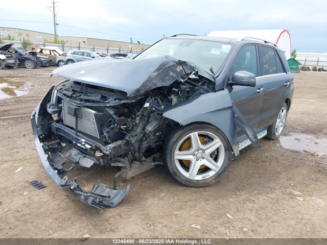 4JGDA7DB5FA550652 Mercedes-Benz Ml-Class