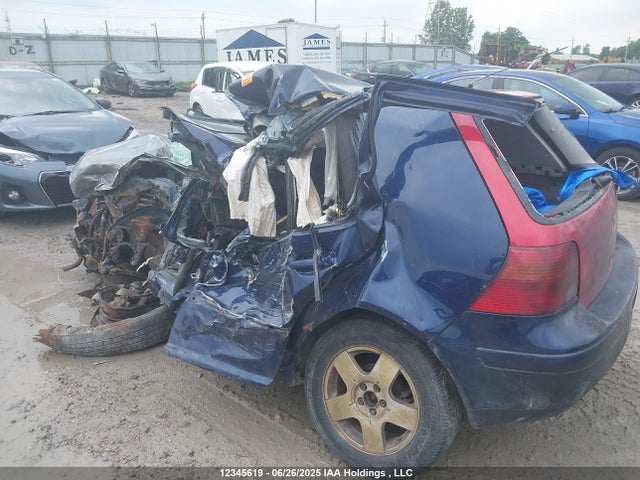 12345619 :رقم المزاد ، 9BWGP61J624004866 vin ، 2002 Volkswagen Golf Gls Tdi مزاد بيع