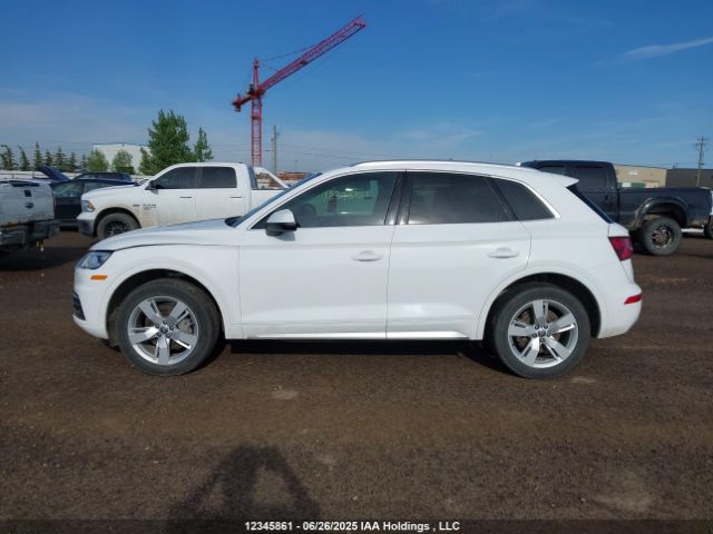 WA1CNAFYXJ2038823 Audi Q5