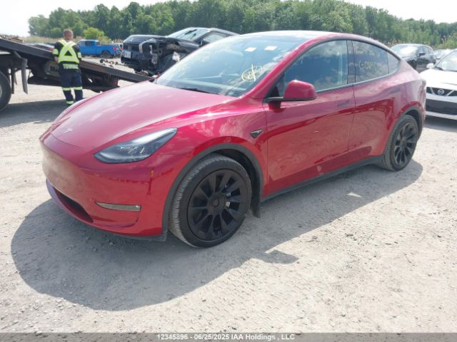 7SAYGAEE8RF029532 Tesla Model Y