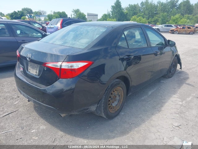 2T1BURHE6GC530300 Toyota 2zr-fe