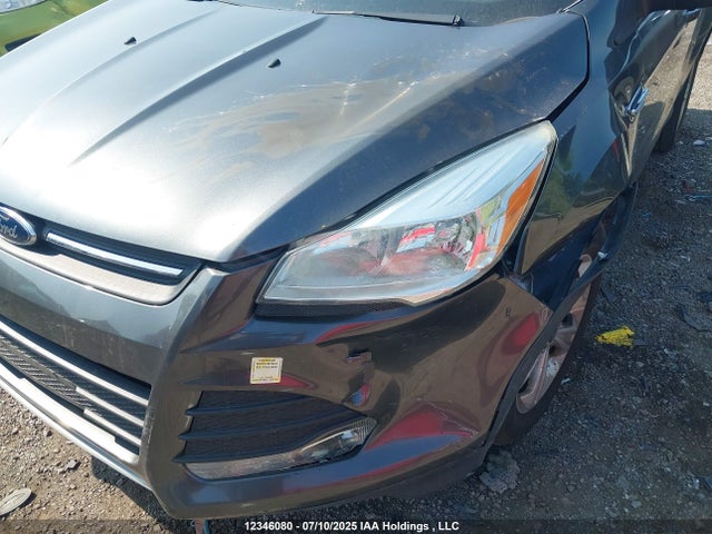 Ford Escape 2015 1FMCU0G95FUC15666 Image 6