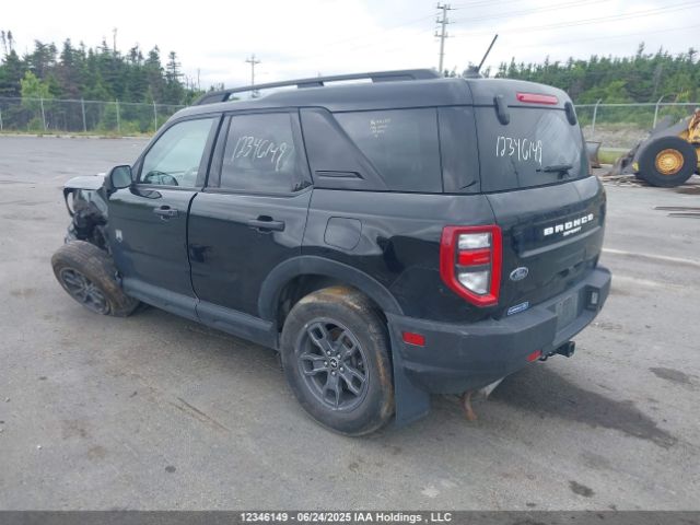 3FMCR9B65RRE58554 Ford dragon