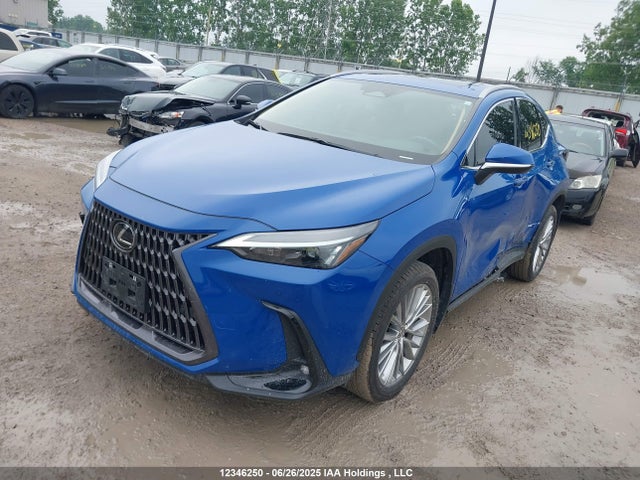 Lexus t24a-fts 2023 2T2GGCEZ2PC028414 Image 2
