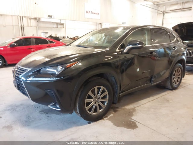 Lexus 8ar-fts 2018 JTJBARBZ0J2155608 Image 2