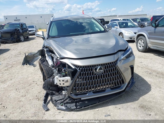 Lexus a25a-fks 2025 2T2ADCEZ8SC006991 Image 12