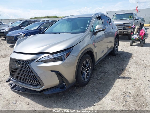 Lexus a25a-fks 2025 2T2ADCEZ8SC006991 Image 2