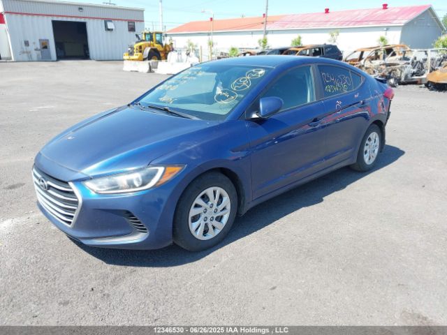 5NPD74LF0HH116379 Hyundai 2017