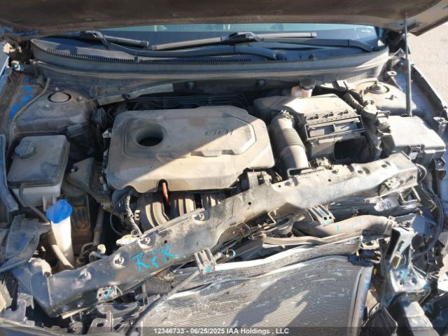 5NPE24AF4HH497403 Hyundai 2017