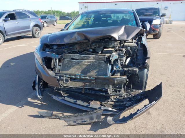 5NPE24AF4HH497403 Hyundai 2017