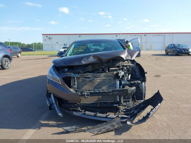 5NPE24AF4HH497403 Hyundai 2017
