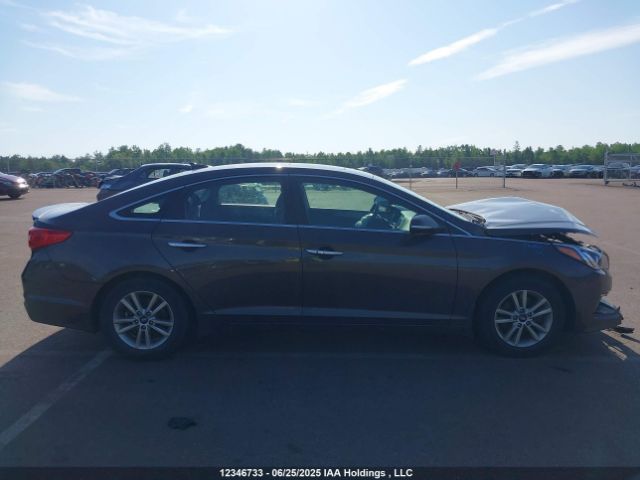 5NPE24AF4HH497403 Hyundai 2017