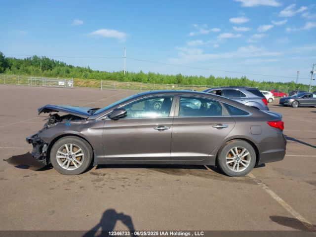 5NPE24AF4HH497403 Hyundai 2017
