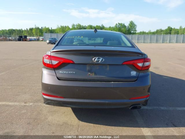 5NPE24AF4HH497403 Hyundai 2017