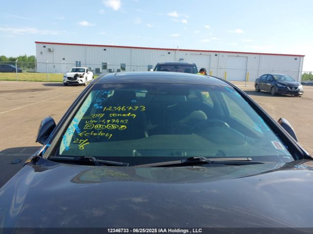 5NPE24AF4HH497403 Hyundai 2017