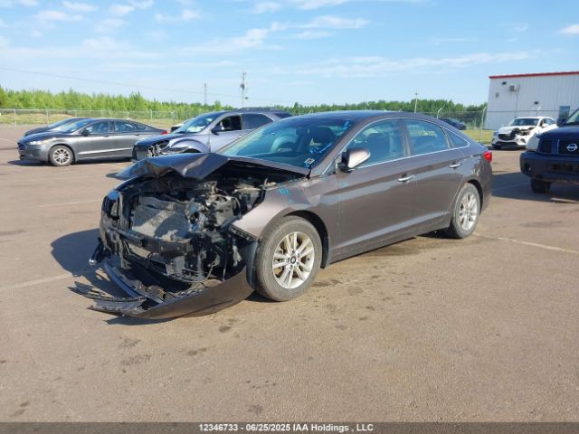 5NPE24AF4HH497403 Hyundai 2017