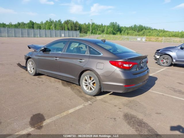 5NPE24AF4HH497403 Hyundai 2017