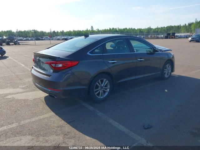 5NPE24AF4HH497403 Hyundai 2017