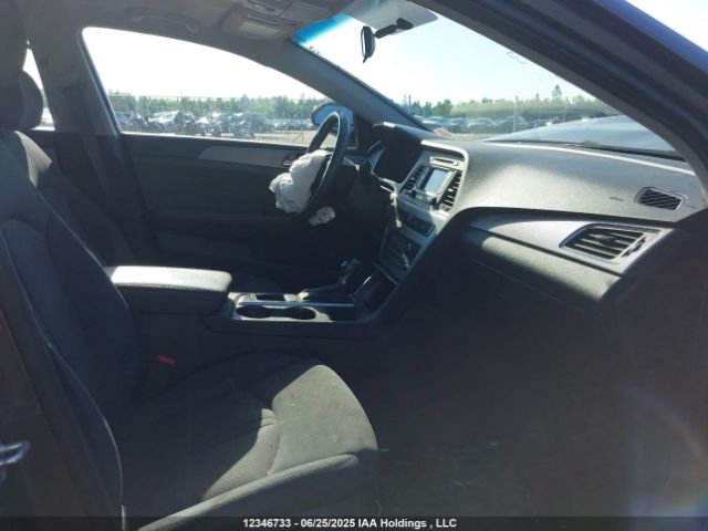 5NPE24AF4HH497403 Hyundai 2017