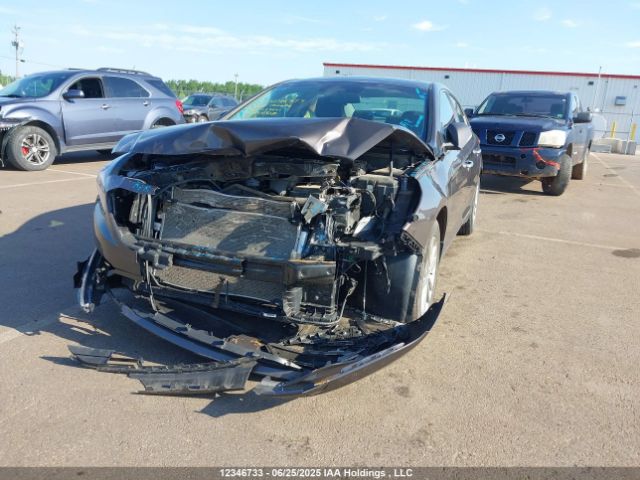 5NPE24AF4HH497403 Hyundai 2017