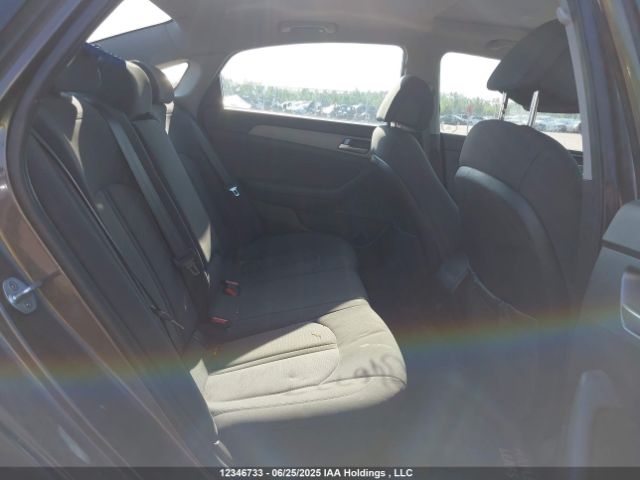5NPE24AF4HH497403 Hyundai 2017