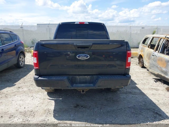 Ford 5.0l 4v 2020 1FTEW1E56LFC36135 Image 16