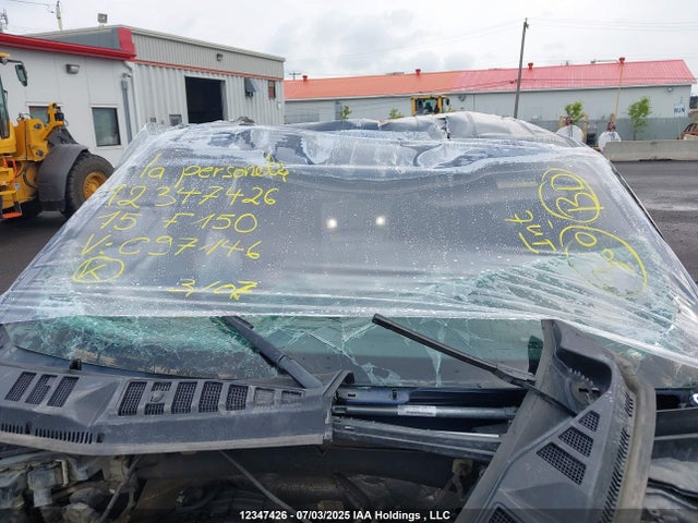 Ford 2015 2015 1FTEW1E8XFFC97146 Image 18