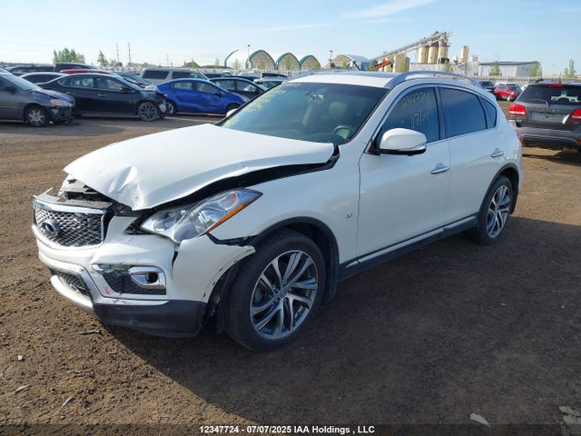 JN1BJ0RR5HM414194 Infiniti QX50